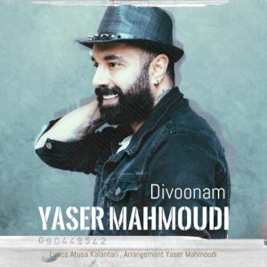 دانلود آهنگ میدونم دیوونم اما بی تو نمیتونم - یاسر محمودی
