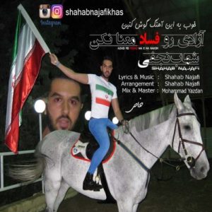 دانلود آهنگ جدید و زیبا از شهاب نجفی ( خاص ) به نام آزادی رو فساد معنا نكن